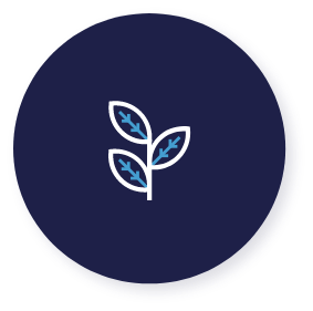 growth-icon